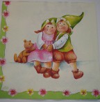 Guardanapos 33x33 cm