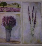 Lavander Field