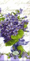 My lady violets