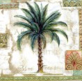 Palm Trees  white