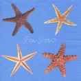 Sea Stars light blue