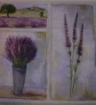 Lavander Field
