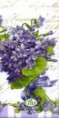 My lady violets